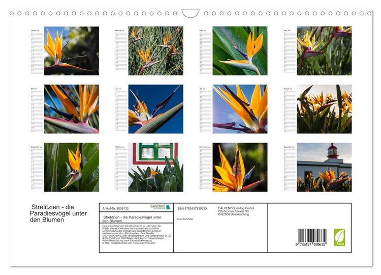 Produktbild: Strelitzien - die Paradiesv&ouml;gel unter den Blumen (Wandkalender 2026 DIN A3 quer), CALVENDO Monatskalender