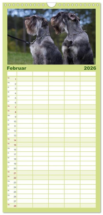 Produktbild: Familienplaner 2026 - Schnauzer... von Zwergen und Riesen 2026 mit 5 Spalten (Wandkalender, 21 x 45 cm) CALVENDO