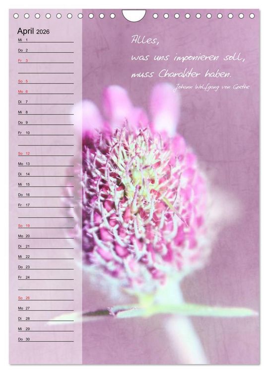 Produktbild: Blumen & Zitate / Geburtstagskalender (Wandkalender 2026 DIN A4 hoch), CALVENDO Monatskalender