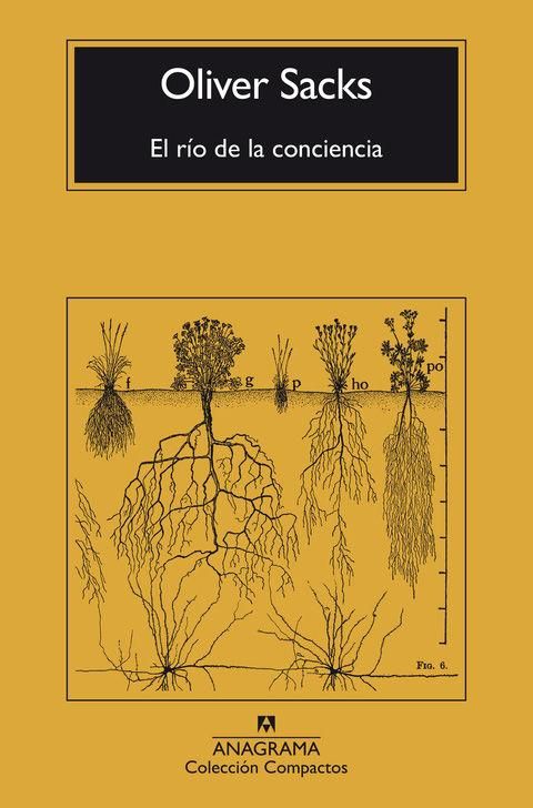 Produktbild: R&iacute;o de la Conciencia, El