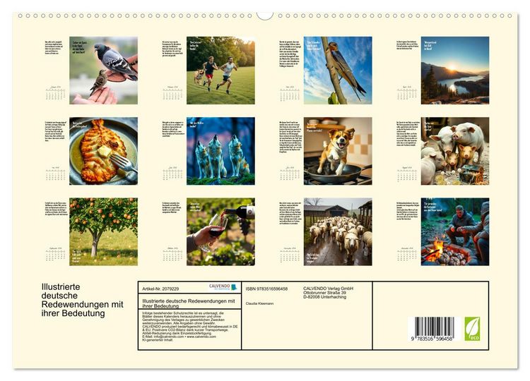 Produktbild: Illustrierte deutsche Redewendungen mit ihrer Bedeutung (hochwertiger Premium Wandkalender 2026 DIN A2 quer), Kunstdruck in Hochglanz