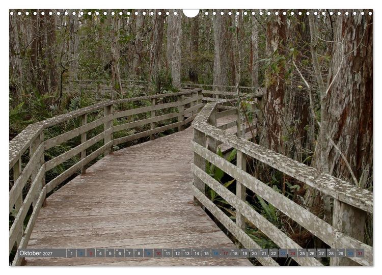Produktbild: Sunshine State Florida Natur, Tierwelt und Nationalparks (Wandkalender 2027 DIN A3 quer), CALVENDO Monatskalender
