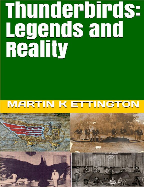 Produktbild: Thunderbirds: Legends and Reality