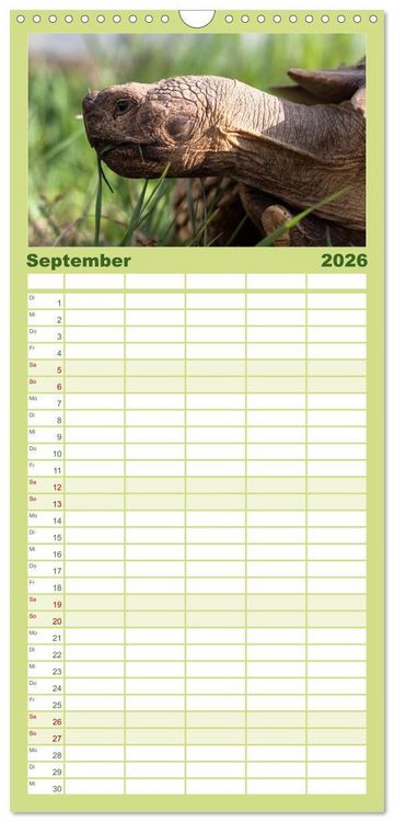 Produktbild: Familienplaner 2026 - Landschildkr&ouml;ten mit 5 Spalten (Wandkalender, 21 x 45 cm) CALVENDO