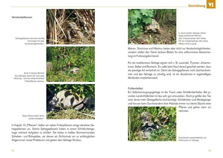 Produktbild: Freigehege f&uuml;r Europ&auml;ische Landschildkr&ouml;ten