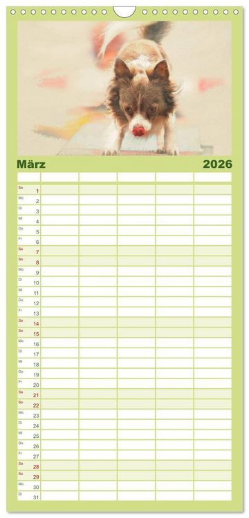 Produktbild: Familienplaner 2026 - Chihuahuas 2026 mit 5 Spalten (Wandkalender, 21 x 45 cm) CALVENDO