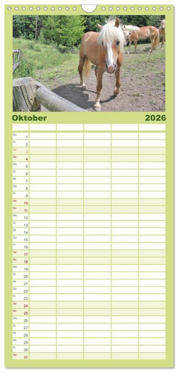 Produktbild: Familienplaner 2026 - Alpenpferde mit 5 Spalten (Wandkalender, 21 x 45 cm) CALVENDO