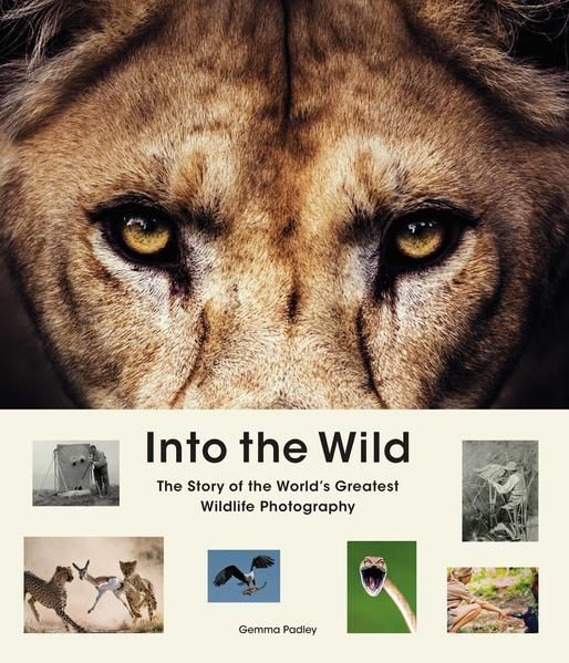 Produktbild: Into the Wild