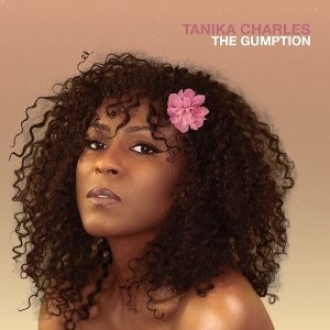Produktbild: The Gumption