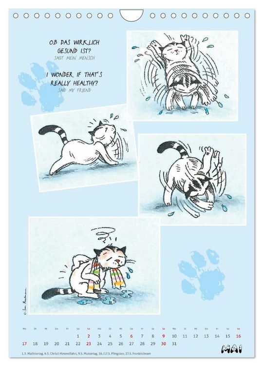 Produktbild: Kater Jacob: Ach Du lieber Mensch (Wandkalender 2027 DIN A4 hoch), CALVENDO Monatskalender