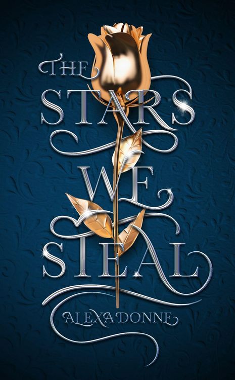 Produktbild: The Stars We Steal