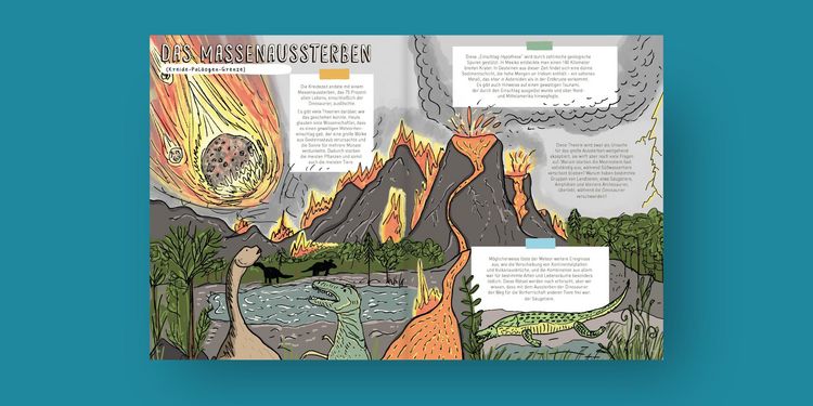 Produktbild: Steine und Gebeine