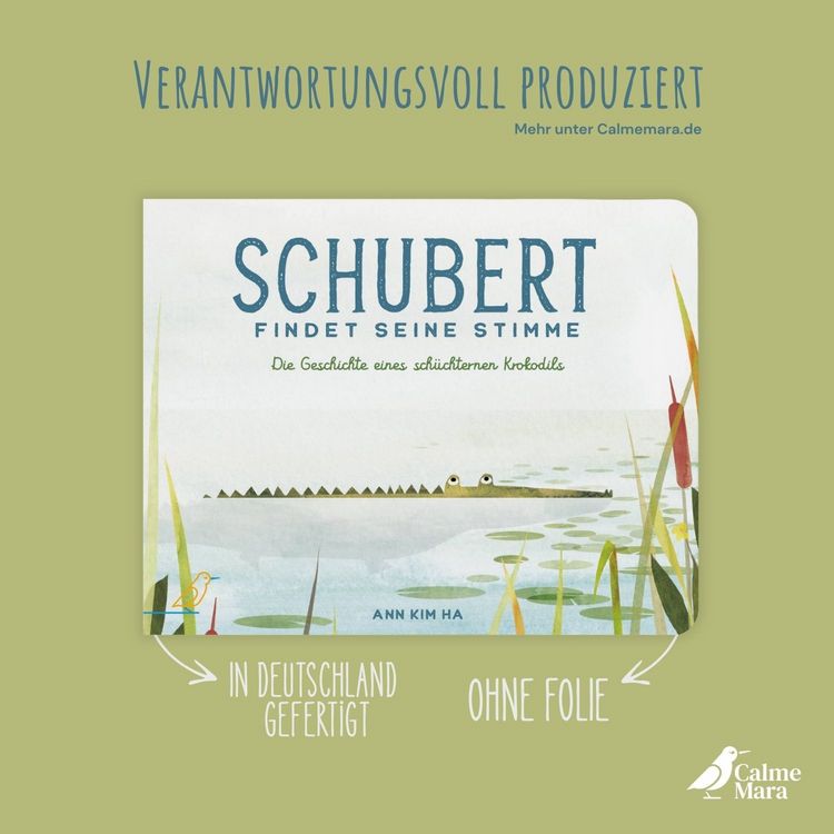 Produktbild: Schubert findet seine Stimme