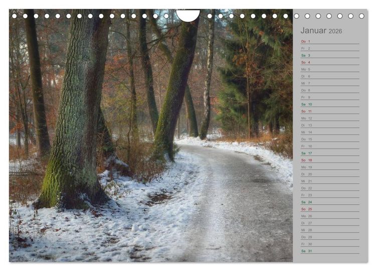 Produktbild: Planungskalender M&auml;rchenwald 2026 (Wandkalender 2026 DIN A4 quer), CALVENDO Monatskalender