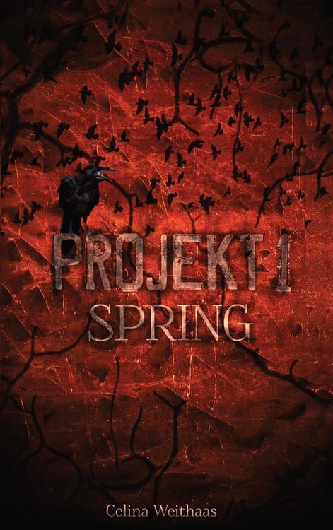 Produktbild: Spring - Projekt I