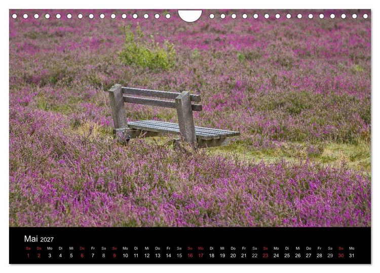Produktbild: L&uuml;neburger Heide (Wandkalender 2027 DIN A4 quer), CALVENDO Monatskalender