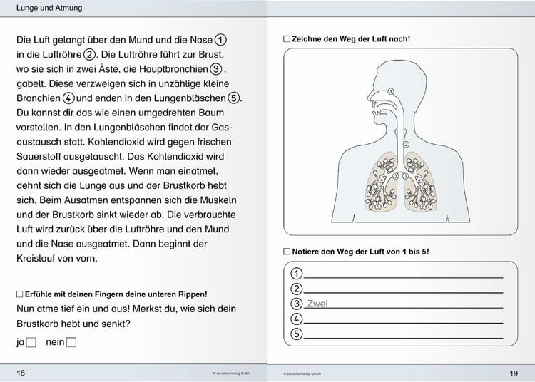 Produktbild: Ich kenne meinen Körper - 3 Hefte im Kombi