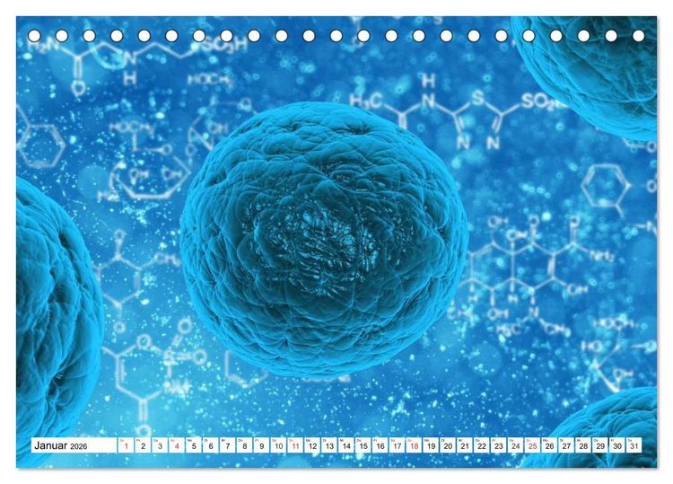 Produktbild: Mikrobiologie. Mikroorganismen, Genetik und Zellen (Tischkalender 2026 DIN A5 quer), CALVENDO Monatskalender