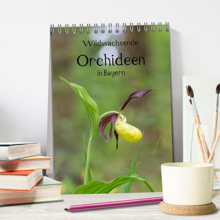 Produktbild: Wildwachsende Orchideen in Bayern (Tischkalender 2026 DIN A5 hoch), CALVENDO Monatskalender