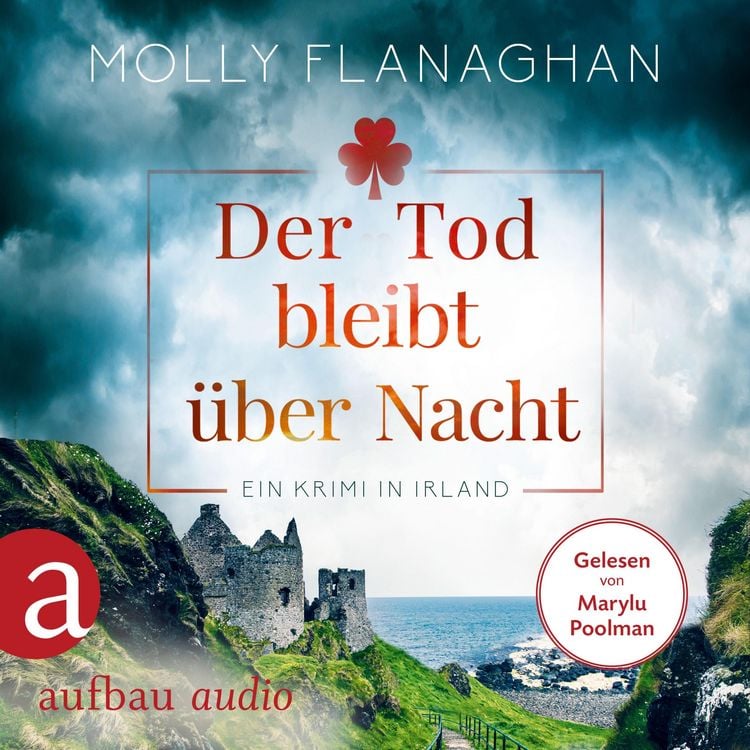 Bild vom Artikel Der Tod bleibt über Nacht - Ein Krimi in Irland vom Autor Molly Flanaghan