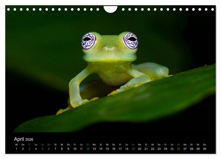 Produktbild: Costa Rica - Faszination Fr&ouml;sche (Wandkalender 2026 DIN A4 quer), CALVENDO Monatskalender
