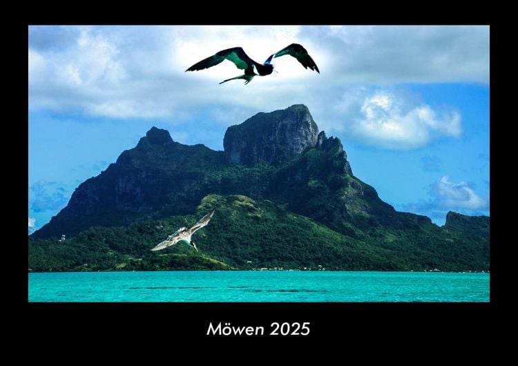 Produktbild: M&ouml;wen 2025 Fotokalender DIN A3