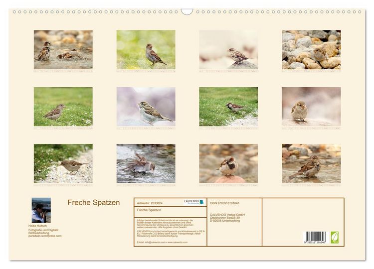 Produktbild: Freche Spatzen (Wandkalender 2026 DIN A2 quer), CALVENDO Monatskalender