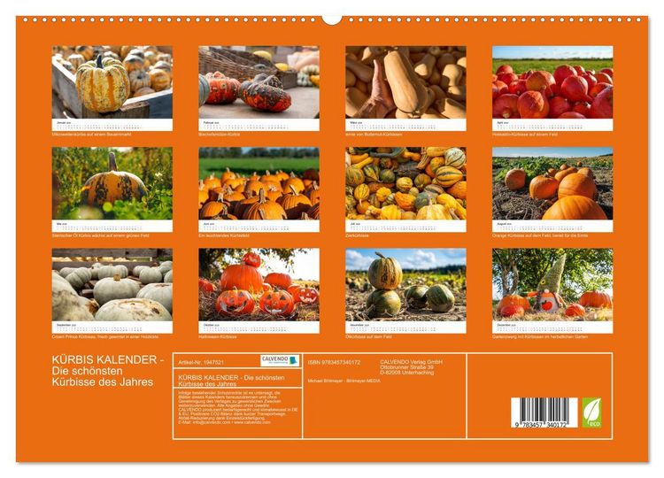 Produktbild: K&Uuml;RBIS KALENDER - Die sch&ouml;nsten K&uuml;rbisse des Jahres (hochwertiger Premium Wandkalender 2026 DIN A2 quer), Kunstdruck in Hochglanz
