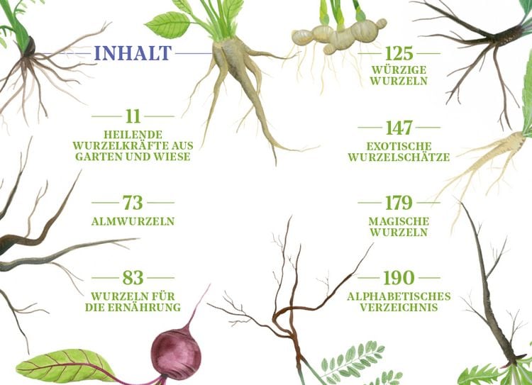 Produktbild: Die Kraft der Wurzeln
