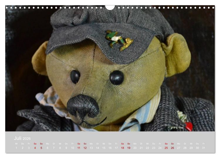 Produktbild: Robin der B&auml;r (Wandkalender 2026 DIN A3 quer), CALVENDO Monatskalender