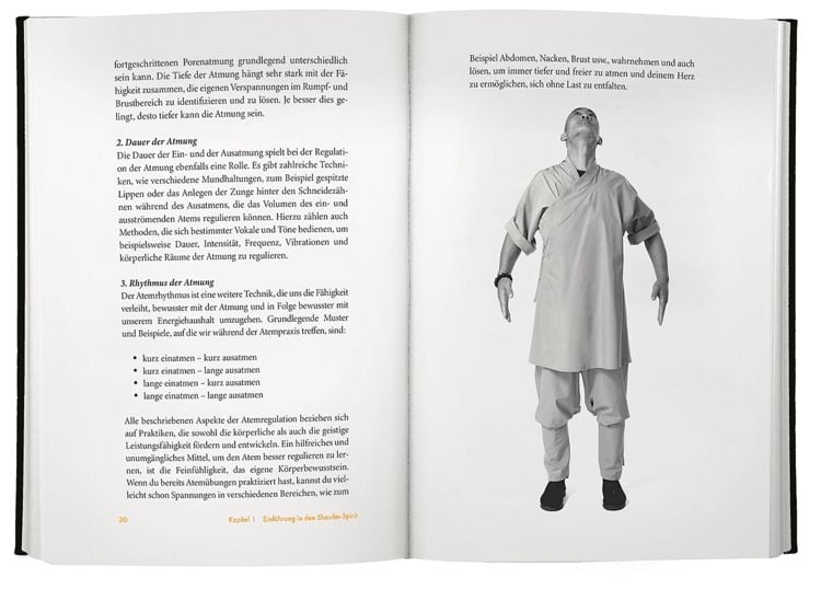Produktbild: Shaolin Spirit