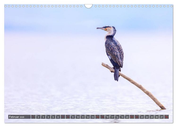 Produktbild: Auf Safari in Kenia 2026 (Wandkalender 2026 DIN A3 quer), CALVENDO Monatskalender