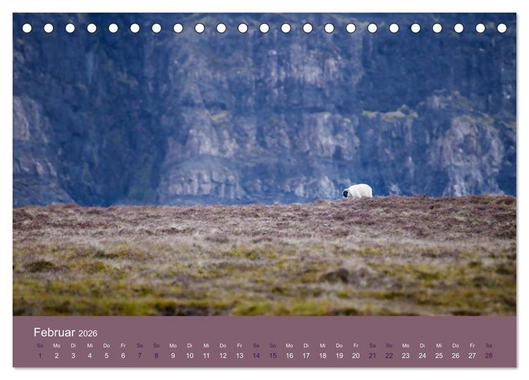 Produktbild: Unter Schafen - Wegbegleiter auf Reisen (Tischkalender 2026 DIN A5 quer), CALVENDO Monatskalender