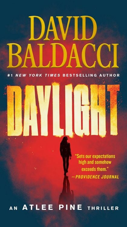 Bild vom Artikel Daylight vom Autor David Baldacci