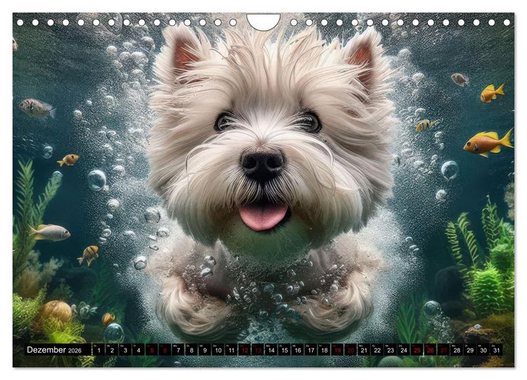 Produktbild: Badespa&szlig; - Hunde unter Wasser (Wandkalender 2026 DIN A4 quer), CALVENDO Monatskalender