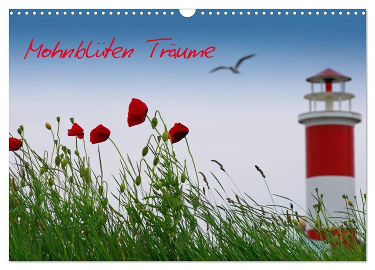 Produktbild: Mohnblumen Tr&auml;ume (Wandkalender 2026 DIN A3 quer), CALVENDO Monatskalender