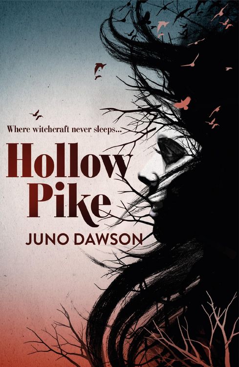 Produktbild: Hollow Pike