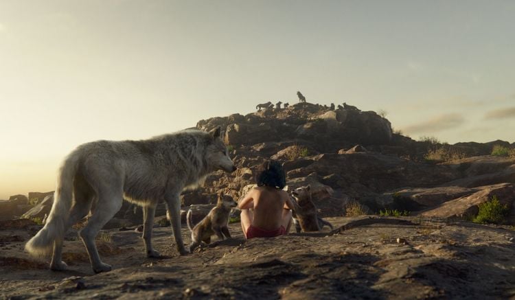 Produktbild: The Jungle Book (4K Ultra HD) (+ Blu-ray 2D)