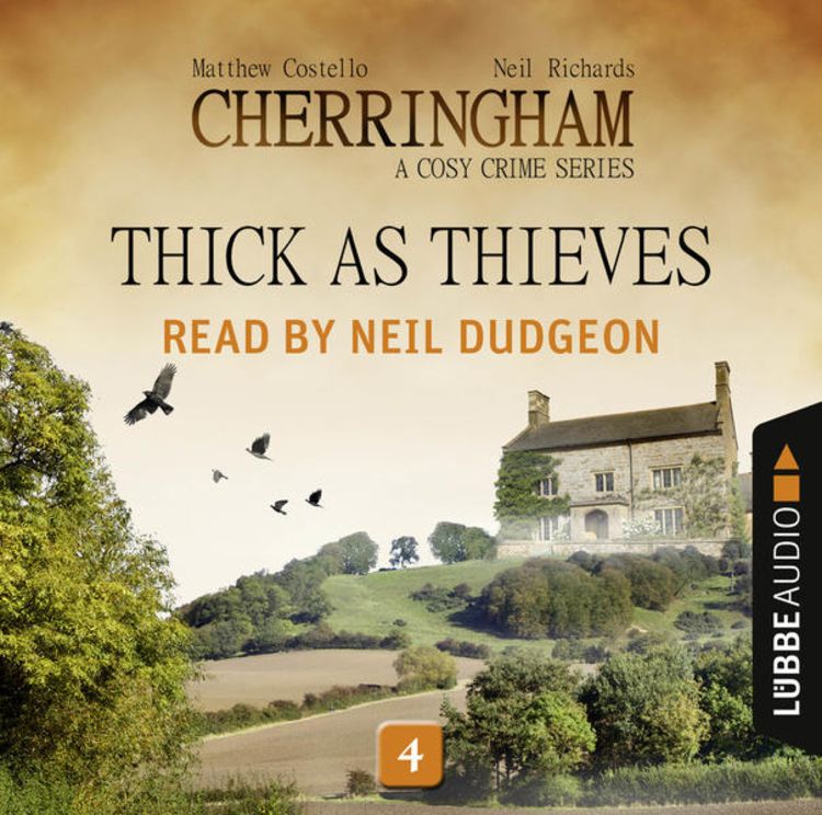 Bild vom Artikel Thick as Thieves vom Autor Matthew Costello