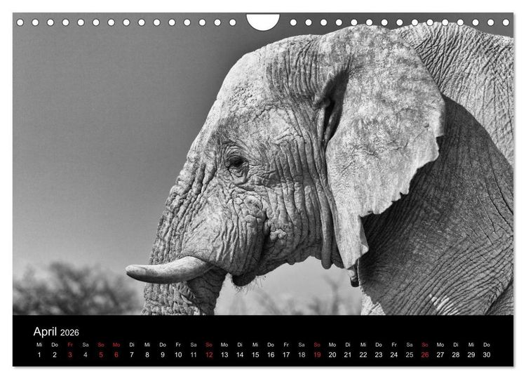 Produktbild: Elefanten Schwarz - Weiss (Wandkalender 2026 DIN A4 quer), CALVENDO Monatskalender