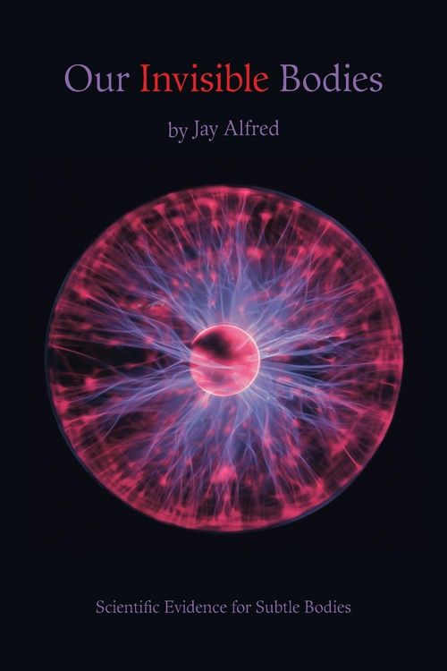 Produktbild: Our Invisible Bodies