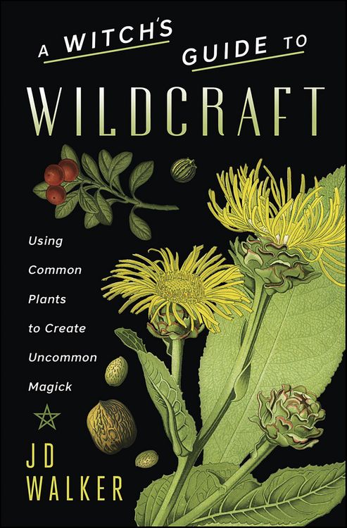 Produktbild: Witch's Guide to Wildcraft