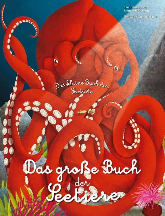 Produktbild: Das gro&beta;e Buch der Seetiere. Das kleine Buch der Seetiere
