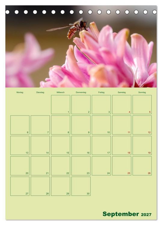 Produktbild: Die Welt der Insekten (Tischkalender 2027 DIN A5 hoch), CALVENDO Monatskalender