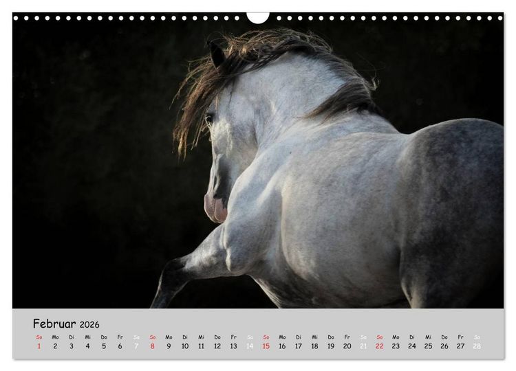 Produktbild: Pferde - Anmut und St&auml;rke gepaart mit Magie (Wandkalender 2026 DIN A3 quer), CALVENDO Monatskalender