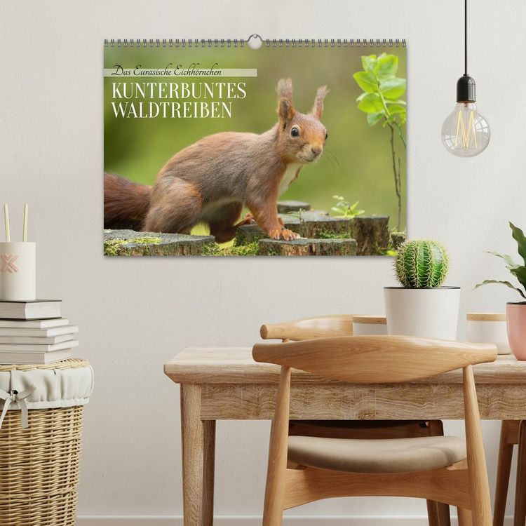 Produktbild: Das Eurasische Eichh&ouml;rnchen - Kunterbuntes Waldtreiben (Wandkalender 2026 DIN A3 quer), CALVENDO Monatskalender