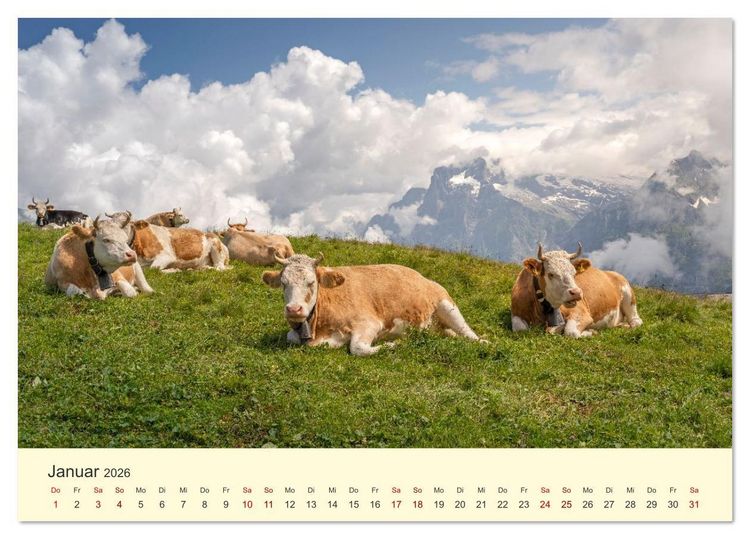 Produktbild: Schweiz - Die gr&uuml;ne Lunge Europas (Tischkalender 2026 DIN A5 quer), CALVENDO Monatskalender