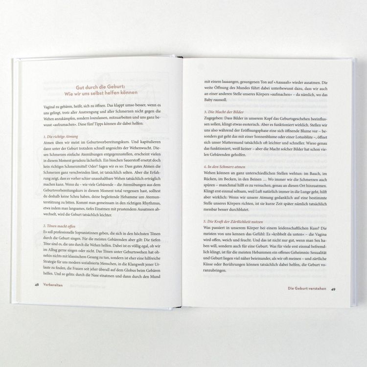 Produktbild: Das Geburtsbuch