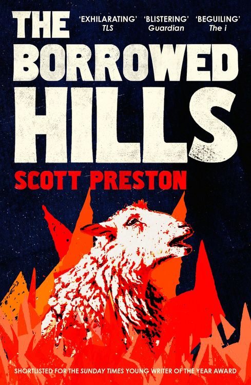 Produktbild: The Borrowed Hills