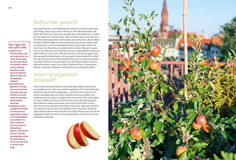 Produktbild: Mein wundervoller Naschbalkon